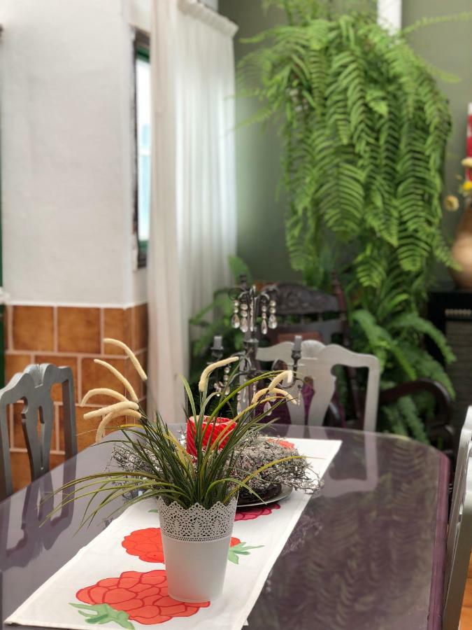 Casa Charry Apartment Tegueste Luaran gambar